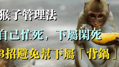 猴子管理法：自己忙死，下屬閑死，學會3招避免幫下屬「背鍋」