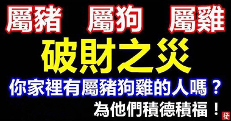 屬豬狗雞的人，未來三個月有破財之災