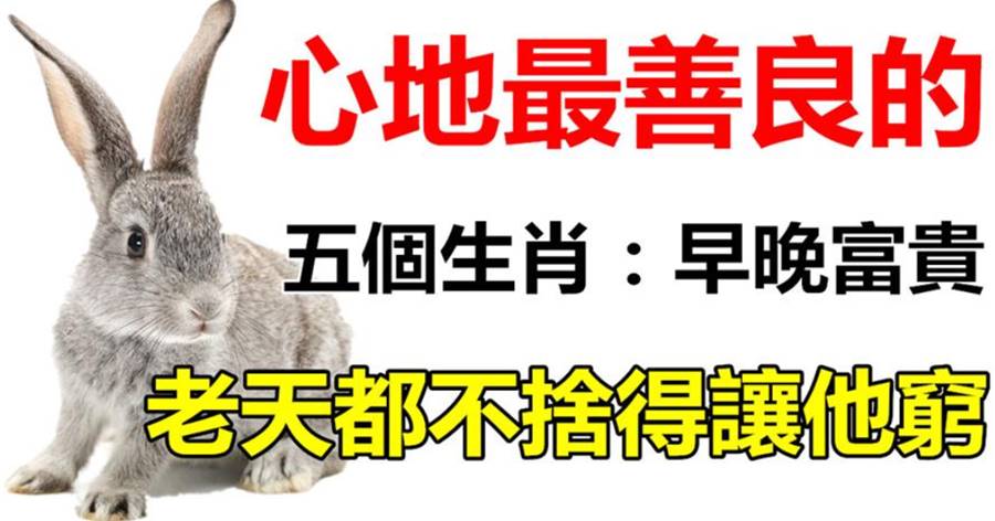 心地善良的五個生肖，老天都不舍的讓他窮，早晚大富大貴！