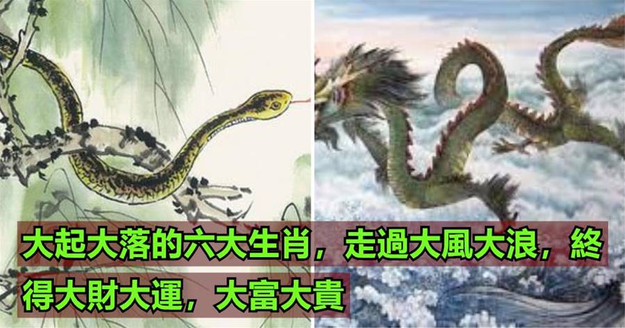大起大落的六大生肖，走過大風大浪，終得大財大運，大富大貴