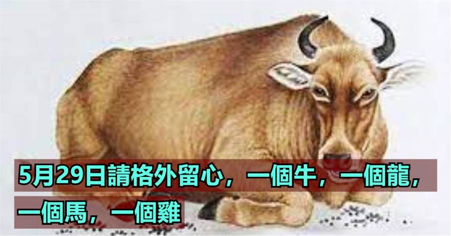 5月29日請格外留心，一個牛，一個龍，一個馬，一個雞 ，未來一周財運高漲，好事連連